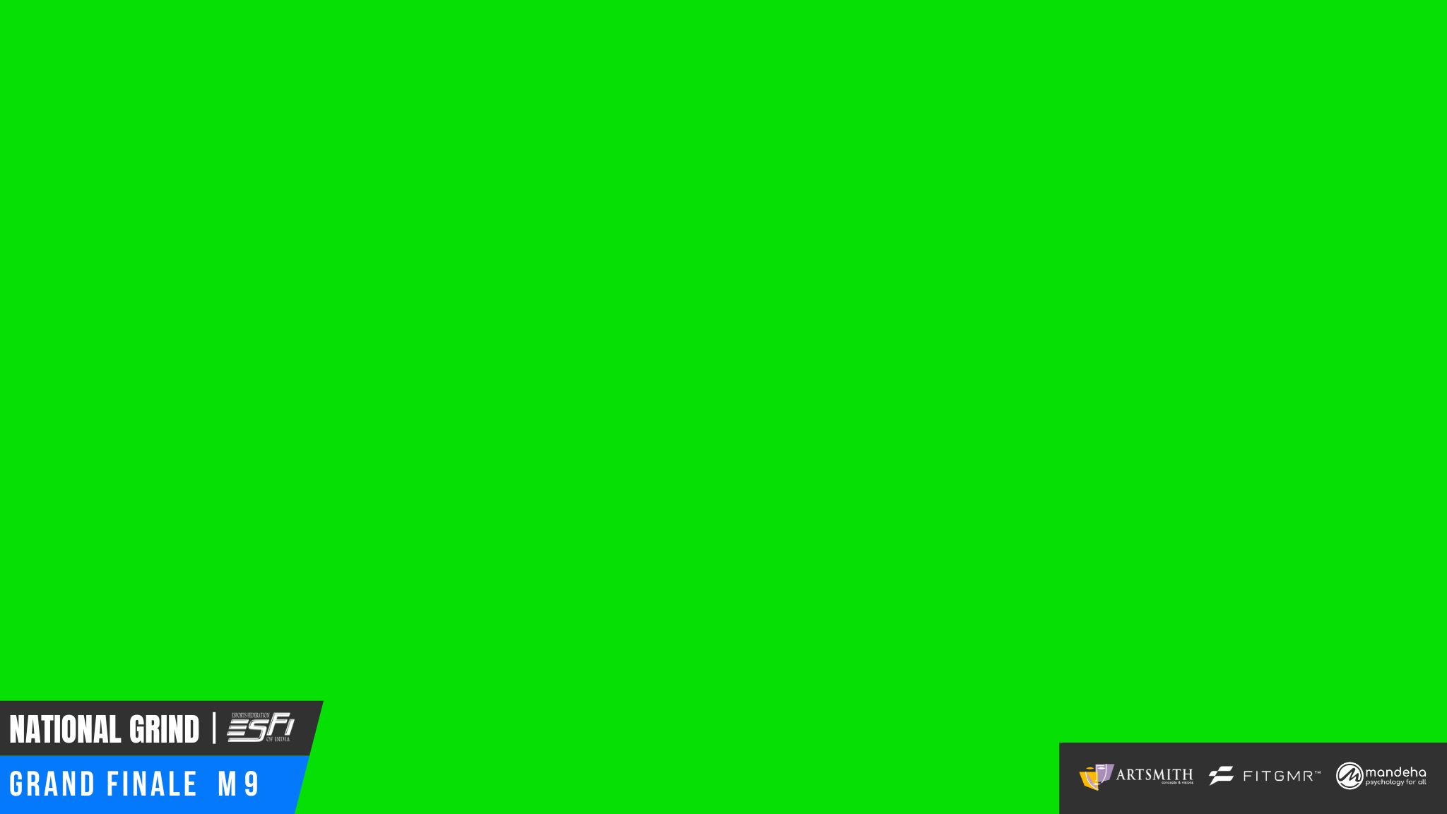 In-Game HUD Overlay